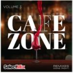 Select Mix Feb 2021 (Reggae Essentials 13 and Cafe Zone 3)