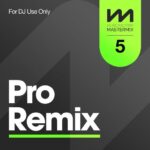 Mastermix Pro Remix Vol. 5