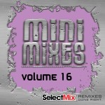 VA – Select Mix Mini Mixes Vol. 16 (2020)