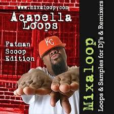mixaloop fatman scoop vol 2